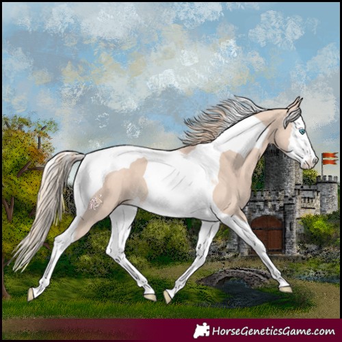 Horse Color:Perlino Splash Tobiano 