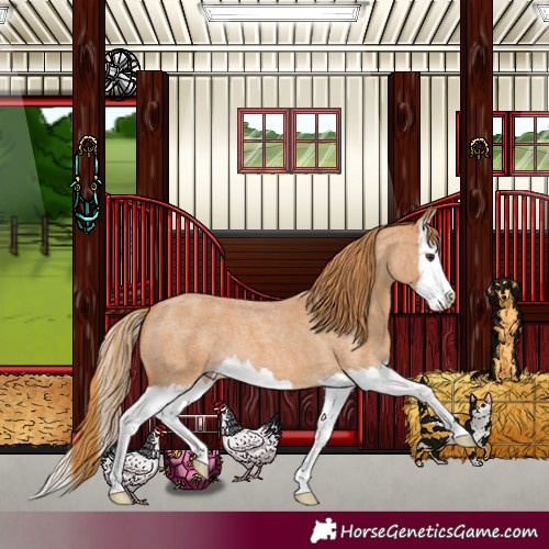 Horse Color:Red Roan Splash 