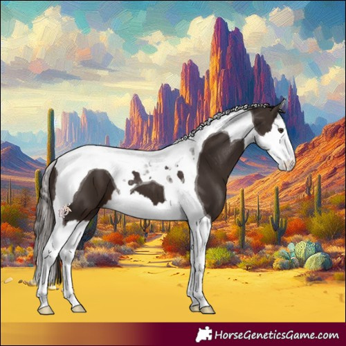 Horse Color:Liver Chestnut Splash Tobiano 
