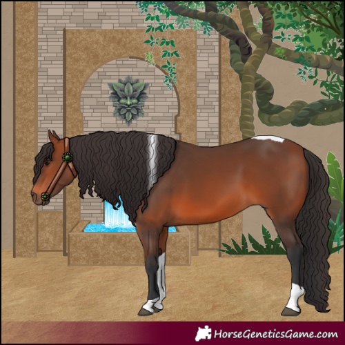 Horse Color:Bay Tobiano