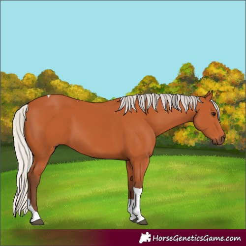 Horse Color:Silver Bay Tobiano