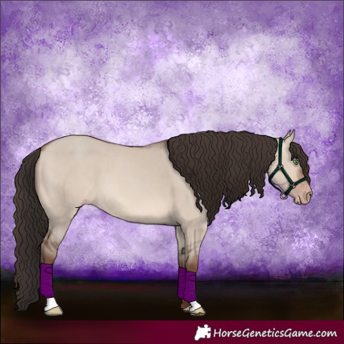 Horse Color:Sable Champagne Dun 
