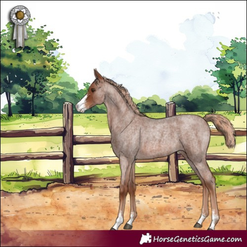 Horse Color:Red Roan Sabino 