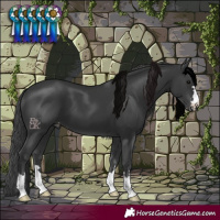 Horse Color:Black Varnish 