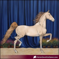 Horse Color:Buckskin Pearl 