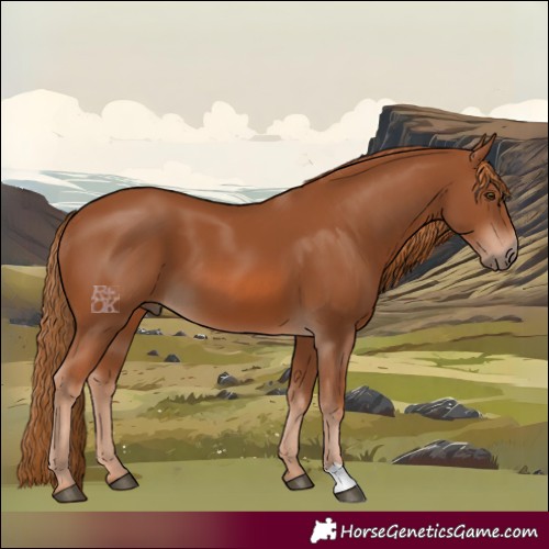 Horse Color:Chestnut 
