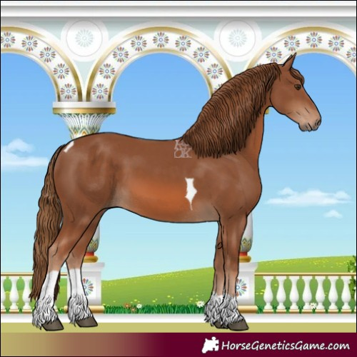 Horse Color:Chestnut Tobiano 