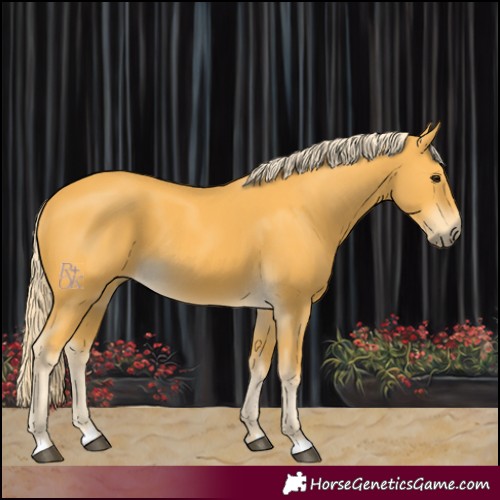 Horse Color:Palomino 