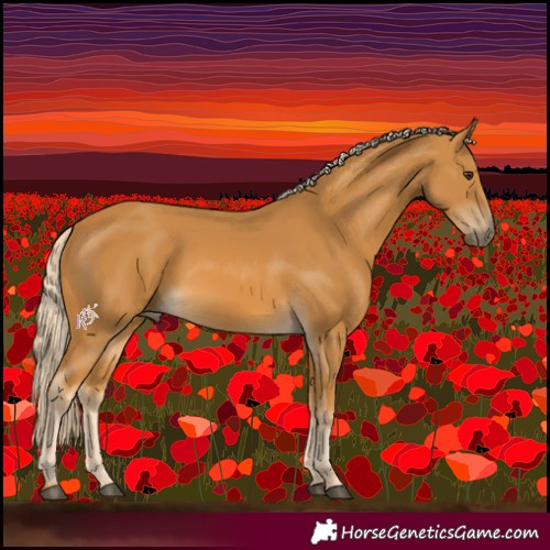 Horse Color:Palomino 