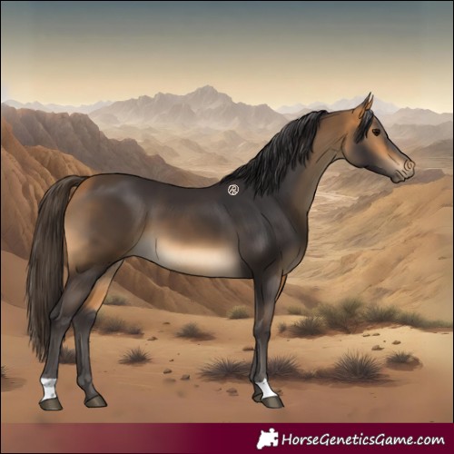 Horse Color:Buckskin 