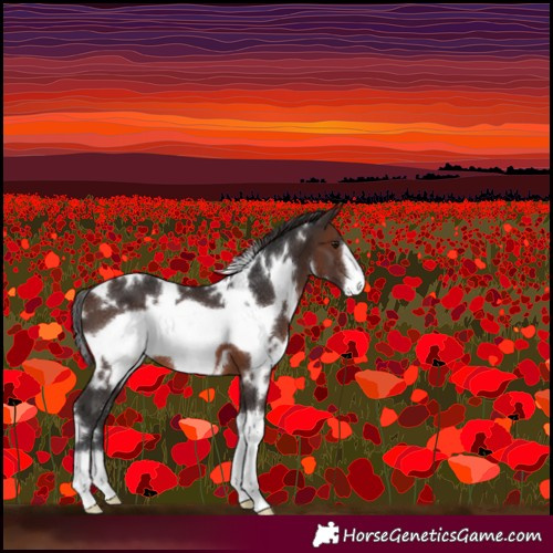 Horse Color:White Spotted Brown Frame 