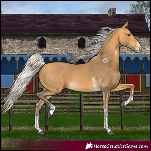 Horse Color:Silver Buckskin Sabino 