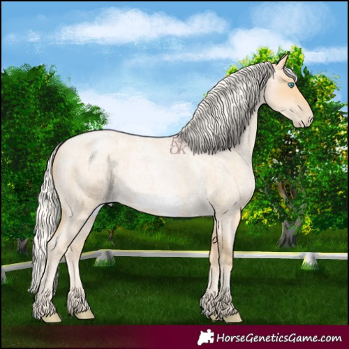 Horse Color:Silver Buckskin Roan Pearl Frame 