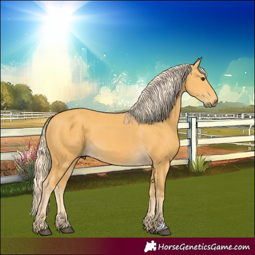 Horse Color:Palomino 