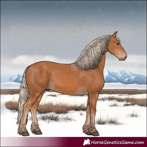 Horse Color:Chestnut 