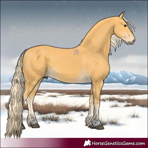Horse Color:Palomino 