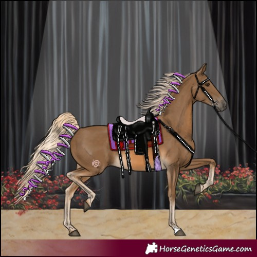 Horse Color:Chocolate Palomino 