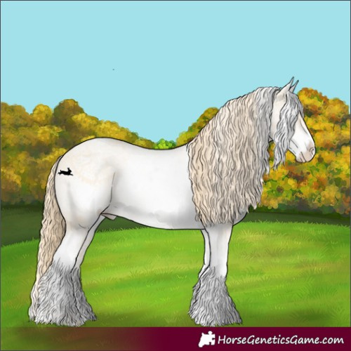 Horse Color:White Spotted Buckskin Pearl 