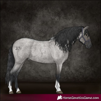Horse Color:Grullo Roan Tobiano