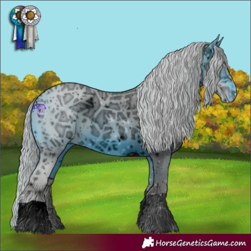 Horse Color:ERROR: UNKNOWN ANOMALY