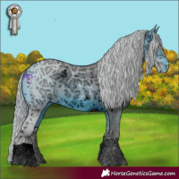 Horse Color:ERROR: UNKNOWN ANOMALY