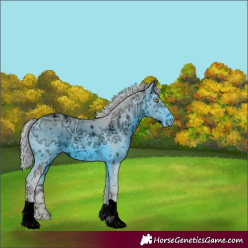 Horse Color:ERROR: UNKNOWN ANOMALY