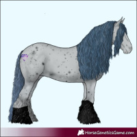 Horse Color:ERROR: UNKNOWN ANOMALY