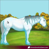 Horse Color:Gray Thunderstruck Red Dun Splash Tobiano