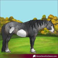 Horse Color:Black Frame 