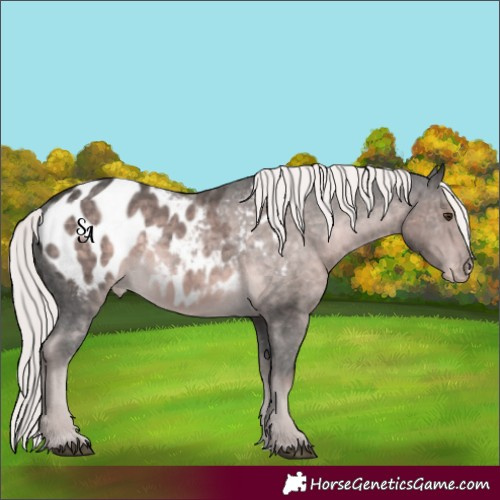 Horse Color:Platinum Chocolate Palomino Blanket 
