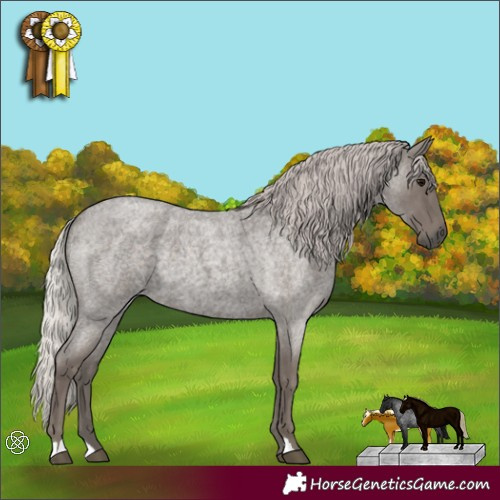 Horse Color:Silver Blue Roan 