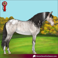 Horse Color:Brown Roan Dun Tobiano Appaloosa Brindle 