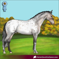 Horse Color:Brown Roan Dun Tobiano Blanket Brindle 