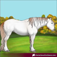 Horse Color:Gray Amber Cream Champagne Roan Pearl Sabino 