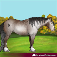 Horse Color:Gray Sable Champagne 