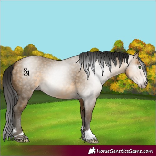 Horse Color:Gray Sable Cream Champagne 