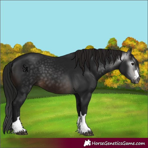 Horse Color:Gray Brown 