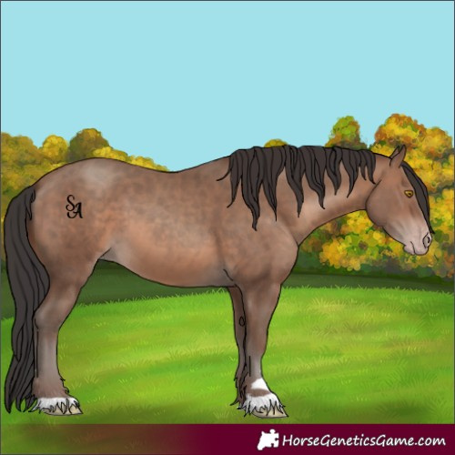 Horse Color:Sable Champagne 