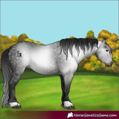 Horse Color:Gray Brown 