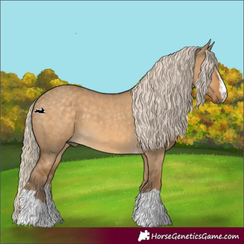 Horse Color:Chocolate Palomino Dun 