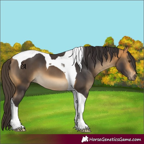 Horse Color:Buckskin Mushroom Tobiano 