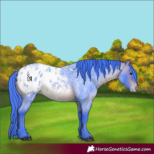 Horse Color:Watercolor Brown Roan Blanket 