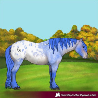 Horse Color:Watercolor Brown Roan Blanket