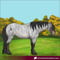 Horse Color:Brown Roan Varnish