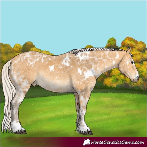 Horse Color:White Spotted Silver Buckskin Ice Rabicano