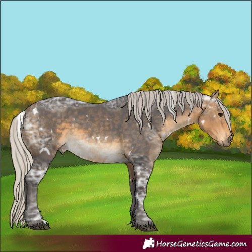 Horse Color:White Spotted Silver Buckskin Ice 