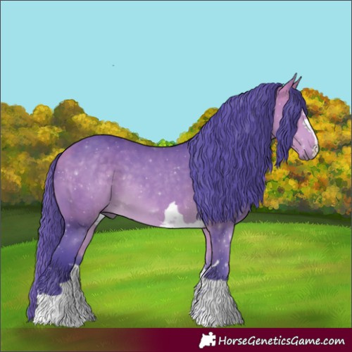 Horse Color:Painted Watercolor Buckskin