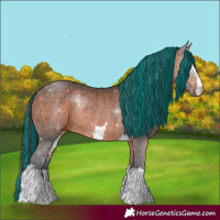 Horse Color:Painted Brown Rabicano 