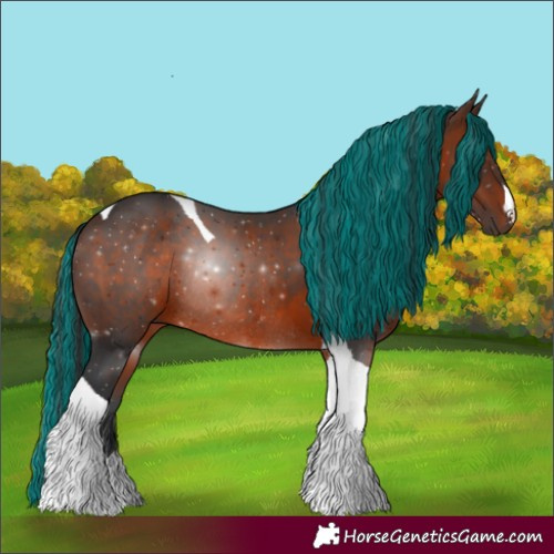 Horse Color:Painted Brown Tobiano Rabicano 