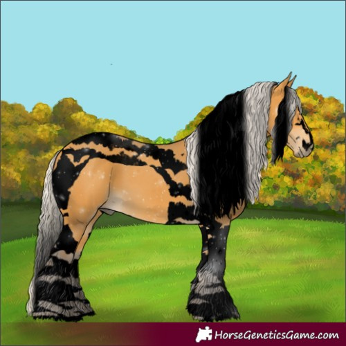 Horse Color:Void Silver Buckskin Tobiano 